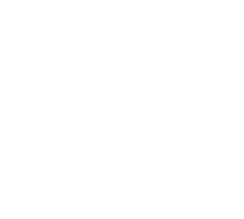 Icon Haussuche